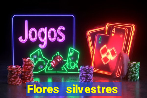 Flores silvestres brasileiras brasileiras flores silvestres nomes e imagens